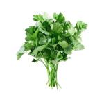 Cilantro (50g)