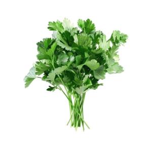 Cilantro (50g)