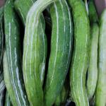 দেশে ঝিঙা