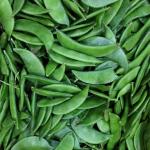 দেশি তাজা সিম