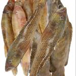 Baila fish বাইলা মাছ